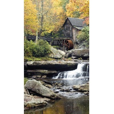Fotozáclona AGdesign neprůhledná, přírodní vzor 140 x 245 cm – Hledejceny.cz