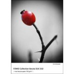 Fomei EY5814 – Zboží Živě