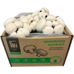 PLANTO Sada pro pěstování Žampión bílý 15l (Agaricus Bisporus) PO-15L-ZB – Zboží Dáma