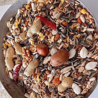 Versele-Laga Exotic Nuts Mix 15 kg – Hledejceny.cz