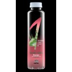 Fructal First aloe-vera a hrozny funkční voda 0,5 l – Hledejceny.cz