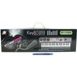 Wiky Elektronické klávesy s mikrofonem a rádiem 54 cm – Sleviste.cz