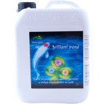 Oase Brilliant Pond 3 L – Hledejceny.cz