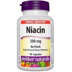 Webber Naturals Niacin 500 mg nealergický 90 kapslí – Hledejceny.cz