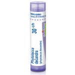 PHYTOLACCA DECANDRA POR 30CH GRA 4G – Hledejceny.cz