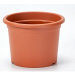obal d50cm Narcis TER – Hledejceny.cz