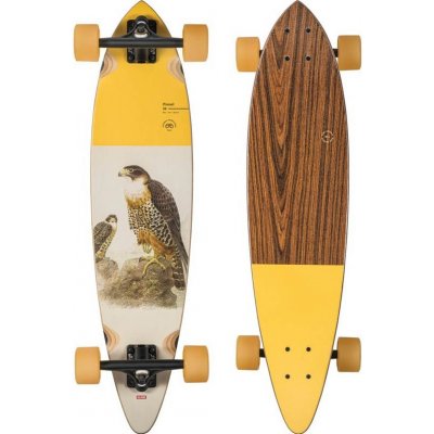 Globe Pintail falcon 34