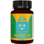 Bewit Prawtein Protect B 100 ml – Hledejceny.cz