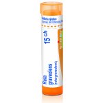 RUTA GRAVEOLENS POR 15CH GRA 4G – Hledejceny.cz