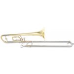 Roy Benson TT-220 Bb/C Pro série dětský – Zboží Dáma
