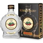R. Jelínek Pálenka z Višní 42% 0,2 l (karton) – Zboží Mobilmania