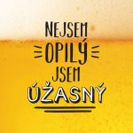 Albi Můj Bar Půllitr Nejsem opilý jsem úžasný 500 ml – Zboží Dáma