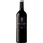 Chateau Teyssier červené 2019 14,5% 0,75 l (holá láhev) – Hledejceny.cz