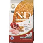 N&D Ancestral Grain Puppy Mini Chicken & Pomegranate 2,5 kg – Hledejceny.cz