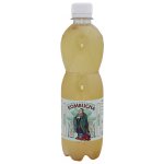 Stevikom Kombucha zelený čaj 0,5 l – Zboží Mobilmania