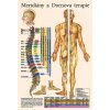 Plakát Vydavatelství Poznání Anatomický plakát - Meridiány a Dornova terapie 47 x 32 cm