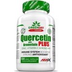 Amix GreenDay ProVEGAN Quercetin with Bromelain 120 kapslí – Hledejceny.cz