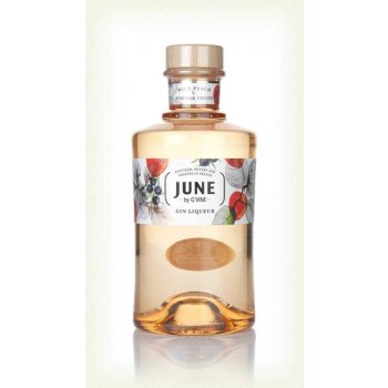 G'Vine June Gin Liqueur 30% 0,7 l (holá láhev)