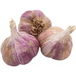 AgroBio Sadbový česnek Janko – Zboží Dáma AgroBio Sadbový česnek Janko – Zboží Dáma