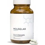 Glucosamine od MOLEQLAR 90 kapslí – Hledejceny.cz