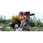 Procházka za bylinkami s ochutnávkou nebo výrobou bylinného oleje – Zboží Dáma