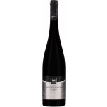 Movino Privat Exclusive Frankovka modrá 13% 0,75 l (holá láhev) – Hledejceny.cz