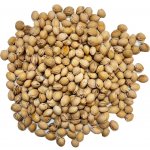 Třešňové pecky sypané Hmotnost: 3 kg – Hledejceny.cz