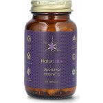 NaturLabs Liposomální vitamín C 60 kapslí – Hledejceny.cz