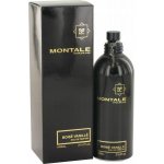 Montale Boisé Vanillé parfémovaná voda dámská 100 ml – Hledejceny.cz