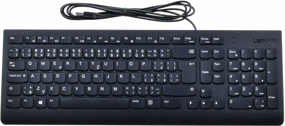 Lenovo 300 USB Keyboard GX30M39663