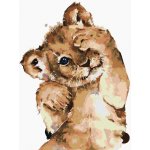 Zuty Malování podle čísel STYDLIVÉ LVÍČE – Zboží Mobilmania