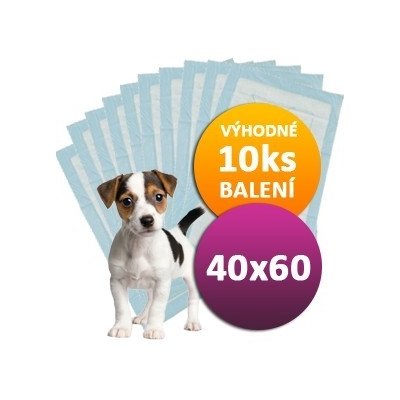 Doggies 10 ks Plen pro psy 40 x 60 cm – Zboží Mobilmania