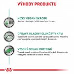 Royal Canin Veterinary Diet Adult Dog Diabetic Special 410 g – Zboží Mobilmania