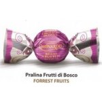 Monardo Čokoládové bonbóny Lesní ovoce 1 kg – Zbozi.Blesk.cz