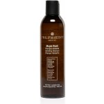 Philip Martin´s Maple Wash šampon na suché vlasy 250 ml – Hledejceny.cz
