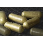 PROM-IN Liposomal Vitamin C 120 kapslí – Hledejceny.cz