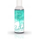 Fractal Airbrush barva tekutá Turquoise 100 ml – Zboží Dáma