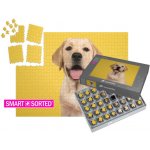 puzzleYOU Foto SMART SORTED 1000 dílků – Hledejceny.cz