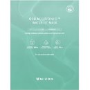 Mizon Cicaluronic Water Fit Mask 24 g