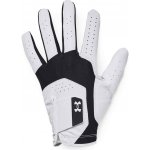 Under Armour UA Iso-Chill Golf Glove – Hledejceny.cz
