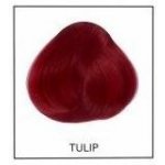 Directions 00 Tulip 89 ml – Zboží Dáma