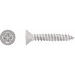 Vrut do plechu se zápustnou hlavou PH2 plný závit ocel A2 4,8 x 38 mm, 12 ks – Hledejceny.cz