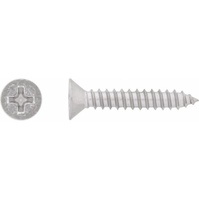 Vrut do plechu se zápustnou hlavou PH2 plný závit ocel A2 4,8 x 38 mm, 12 ks – Hledejceny.cz