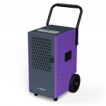 Noaton DF 4170 – Zboží Dáma