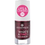 Essence Rtěnka What A Tint 01 Kiss From A Rose 4,9 ml – Hledejceny.cz