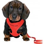 Trixie postroj vestička s vodítkem – Sleviste.cz