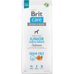 Brit Care Grain-free Junior Large Breed Salmon 12 kg – Hledejceny.cz