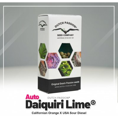 Dutch Passion AUTO Daiquiri Lime semena neobsahují THC 7 ks – Zboží Dáma