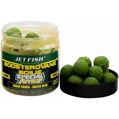 JET FISH Boosterované Boilies Special Amur 120g 20mm mirabelle – Zbozi.Blesk.cz