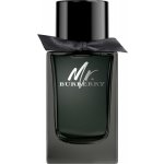 Burberry Mr. Burberry parfémovaná voda pánská 100 ml – Sleviste.cz
